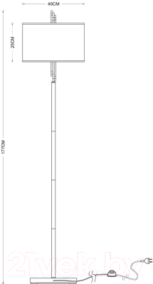 Торшер Arte Lamp Julietta A5037PN-2CC