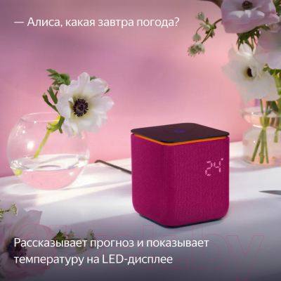 Умная колонка Яндекс Станция Миди с Zigbee YNDX-00054PNK