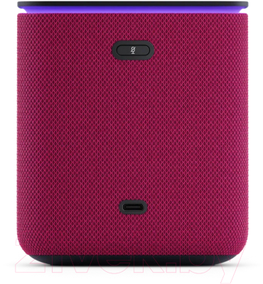 Умная колонка Яндекс Станция Миди с Zigbee YNDX-00054PNK