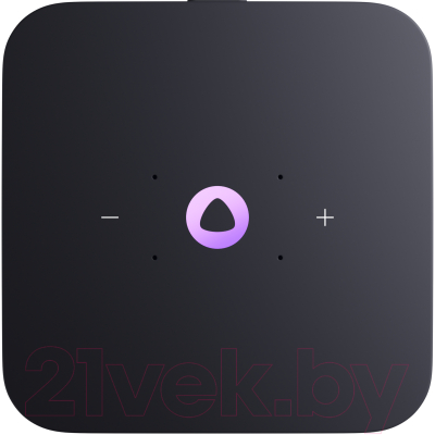 Умная колонка Яндекс Станция Миди с Zigbee YNDX-00054PNK