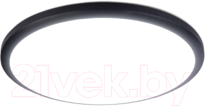 Потолочный светильник Ambrella FZ1233 BK - фото