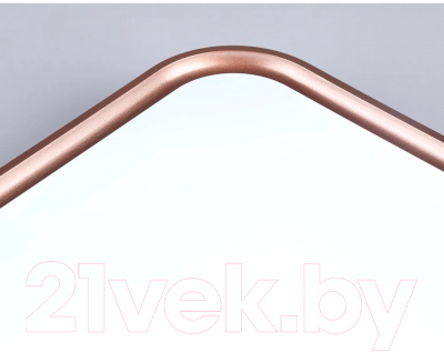 Потолочный светильник Ambrella FZ1271 BK/PGD