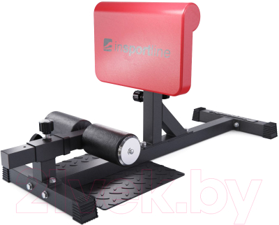 Силовой тренажер DFC Sissy Squat / IN21715 - фото