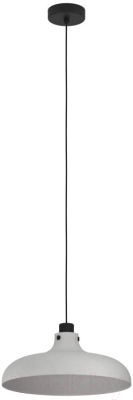 Потолочный светильник Eglo Matlock 43825 - фото