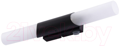 Подсветка для картин и зеркал Arte Lamp Aqua-Bastone A2470AP-2BK - фото