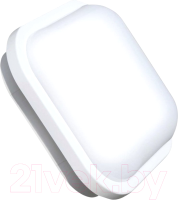 Светильник ЖКХ Leek LE Led SBL WH 10W / LE061100-0047 - фото