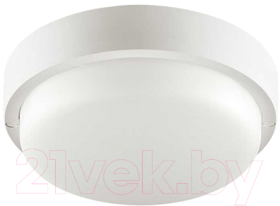 Светильник ЖКХ Wolta LCL04-12W-R01-4K  - фото