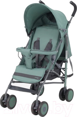 Детская прогулочная коляска Rant Basic Tango / RA352 - фото