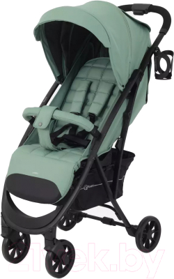 Детская прогулочная коляска Rant Largo 2024 / RA054 - фото