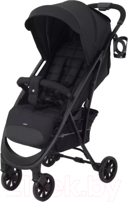 Детская прогулочная коляска Rant Largo 2024 / RA054 - фото