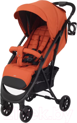 Детская прогулочная коляска Rant Largo 2024 / RA054 - фото