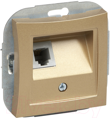 Розетка Schneider Electric Дуэт WDE000481 - фото