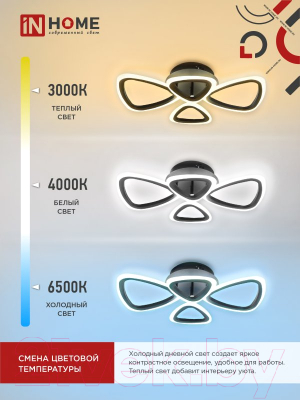 Потолочный светильник INhome Elegant Sansa-B / 4690612043333