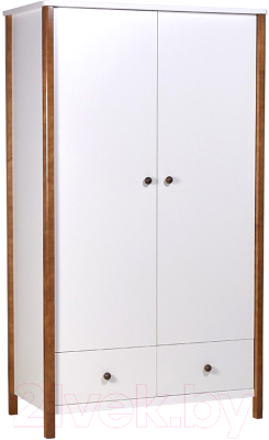 Шкаф Polini Kids Simple двухсекционный с ящиками / 0002770.165 - фото