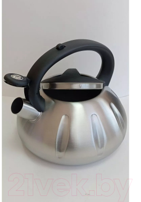 Чайник со свистком Vessel VS8825