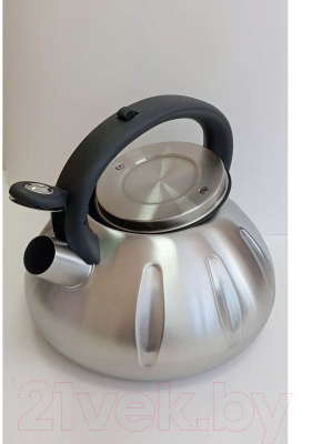 Чайник со свистком Vessel VS8825