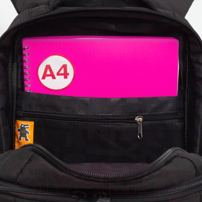 Школьный рюкзак Grizzly RB-456-2