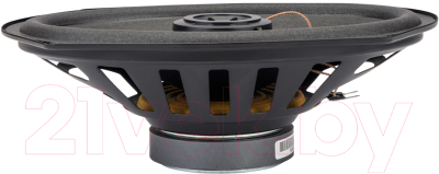 Коаксиальная АС AURA Fireball-i692