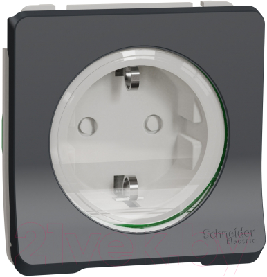 Розетка Schneider Electric Mureva Styl MUR36134 - фото