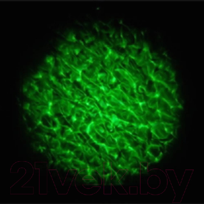 Лазерный проектор Acme LED WAV-10W LED-WAVE