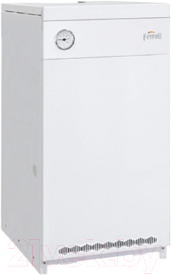 Газовый котел Ferroli Torino Classic 30 / 0QN106YA - фото