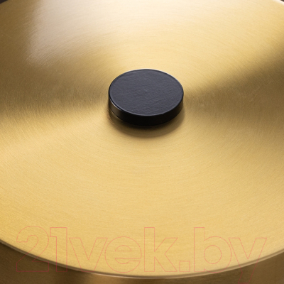 Прикроватная лампа Arte Lamp Elnath A5038LT-3PB