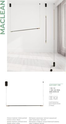 Потолочный светильник Arte Lamp Maclean A2918SP-1BK