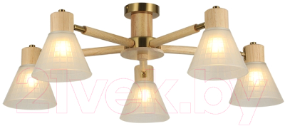 Люстра Arte Lamp Meleph A4096PL-5BR - фото