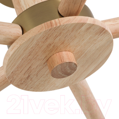 Люстра Arte Lamp Meleph A4096PL-5BR