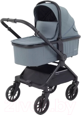 Детская универсальная коляска Rant Vector 2 в 1 / RA322 - фото