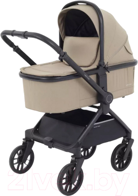 Детская универсальная коляска Rant Vector 2 в 1 / RA322 - фото