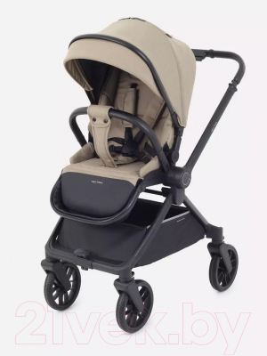 Детская универсальная коляска Rant Vector 2 в 1 / RA322