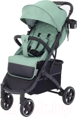 Детская прогулочная коляска Rant Life / RA104 - фото