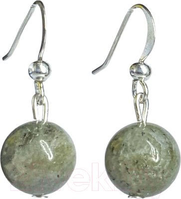 Серьги Wolves Элитный Лабрадор 40855 №1 - фото