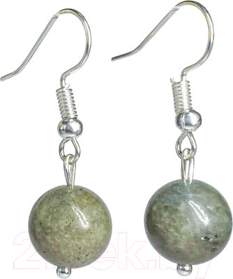 Серьги Wolves Элитный Лабрадор 40856 №2 - фото