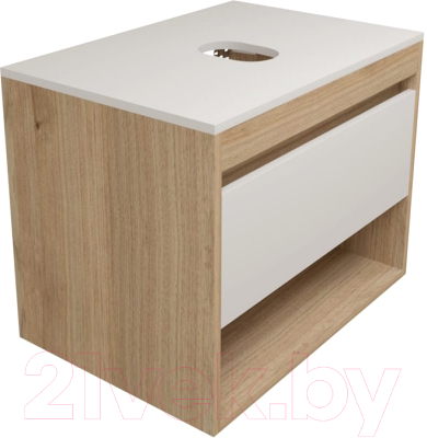 Тумба под умывальник Teymi Ritta 65 / T60520 (дуб эврика/белый матовый) - фото