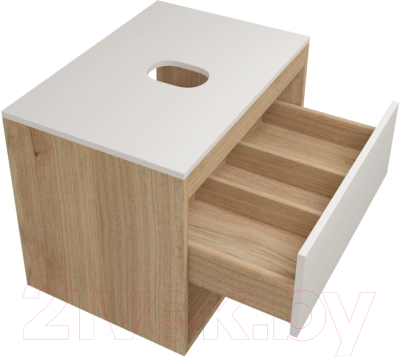 Тумба под умывальник Teymi Ritta 65 / T60520 (дуб эврика/белый матовый)