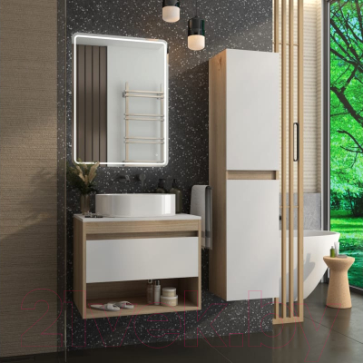 Тумба под умывальник Teymi Ritta 65 / T60520 (дуб эврика/белый матовый)