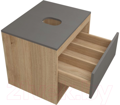 Тумба под умывальник Teymi Ritta 55 / T60523 (дуб эврика/графит матовый)