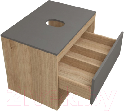 Тумба под умывальник Teymi Ritta 65 / T60524 (дуб эврика/графит матовый)