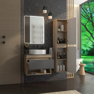 Тумба под умывальник Teymi Ritta 65 / T60524 (дуб эврика/графит матовый)