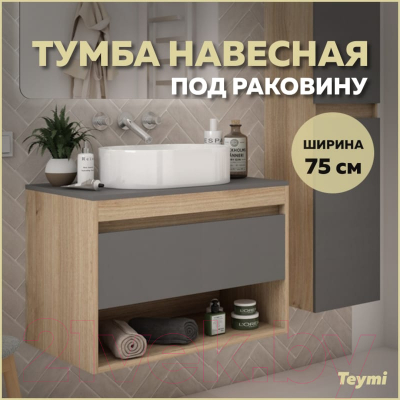 Тумба под умывальник Teymi Ritta 75 / T60525 (дуб эврика/графит матовый)