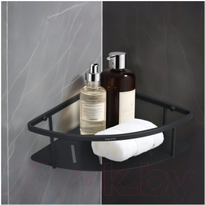 Полка для ванной Aquatek AQ4926MB