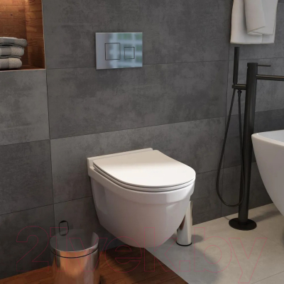 Унитаз подвесной Teymi Vitra Pro / T40806