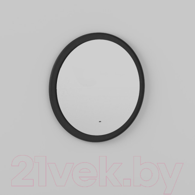 Зеркало Briz Teco 100 / 243 01-48100-00 00