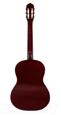 Акустическая гитара Belucci BC3905 SB