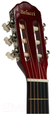 Акустическая гитара Belucci BC3905 SB