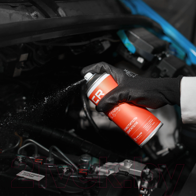 Очиститель двигателя Carville Racing Пенный S3051900