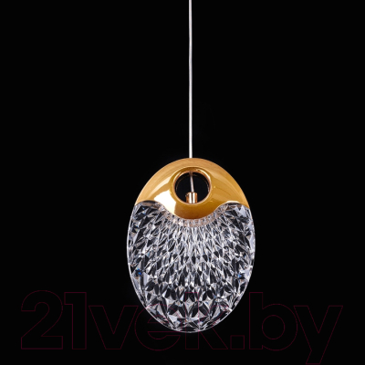 Потолочный светильник Arte Lamp Vitoria A2095SP-1GO