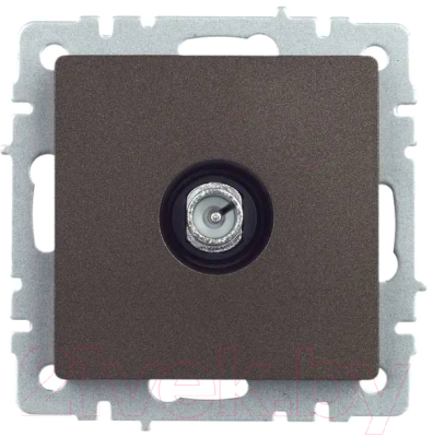 Розетка IEK Brite BR-A10-P-K45 - фото